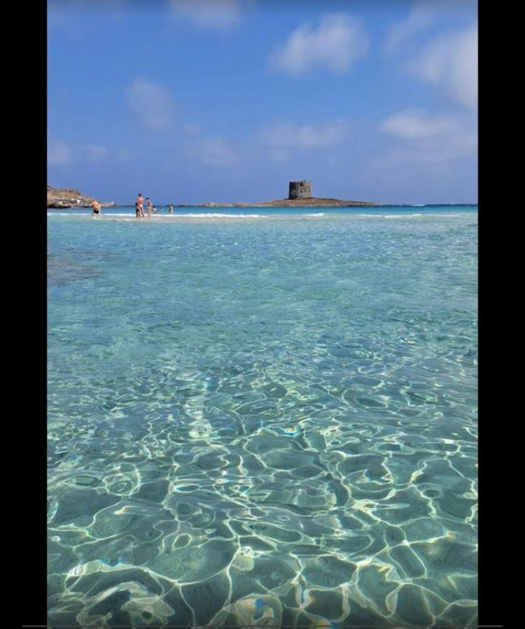 B&B Shardana Sennori Dış mekan fotoğraf